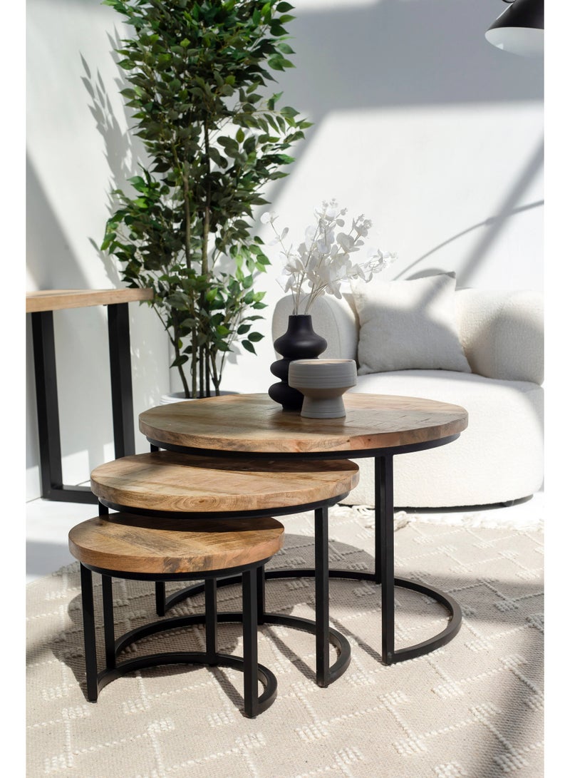 Raxoom Audrey Nesting Coffee Table Set | Solid Mango Wood Coffee Tables | Natural Wooden Center & Side Table for Living Room | Space Saving Design - Image 1